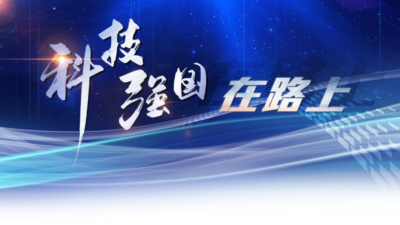 供应链管理不只是催货：一个被低估的决策型岗位