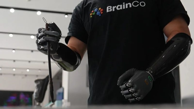 企业搜索数据库索引技术选型：关键参数与考量因素